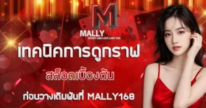 เทคนิคการดูกราฟสล็อตเบื้องต้นก่อนวางเดิมพันที่ MALLY168